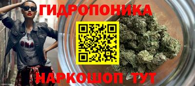 spice Рязань