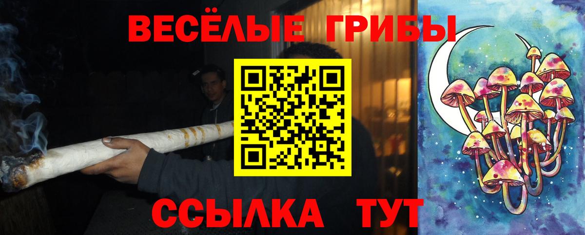 Ачхой-Мартан  Галлюциногенные грибы GOLDEN TEACHER  Вход с VPN 